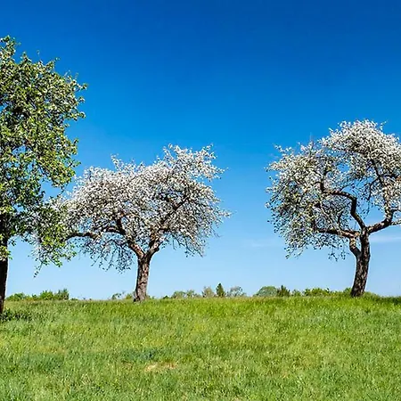 아파트 Campo Allegre Duplex *