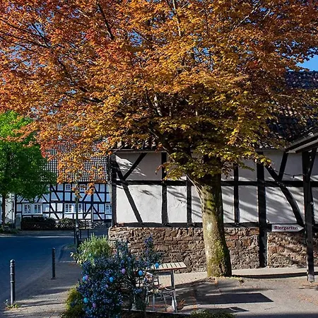 Campo Allegre Duplex 아파트