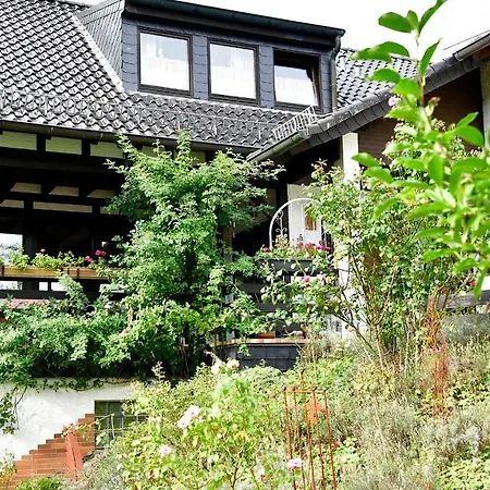 Campo Allegre Duplex Apartment *