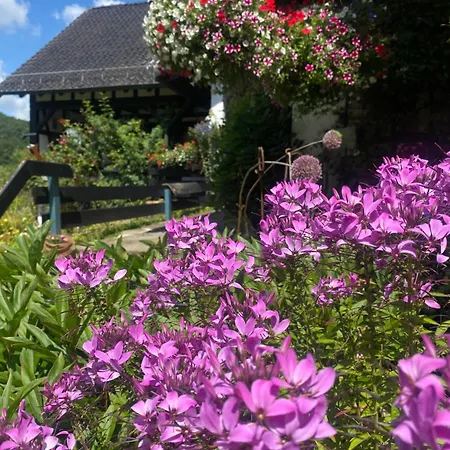 Campo Allegre Duplex Apartment *