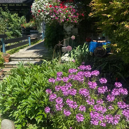 Campo Allegre Duplex 아파트 *