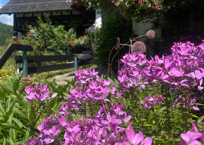 Campo Allegre Duplex Appartement *