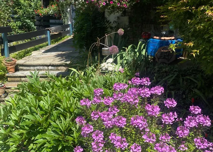 Campo Allegre Duplex Appartement *